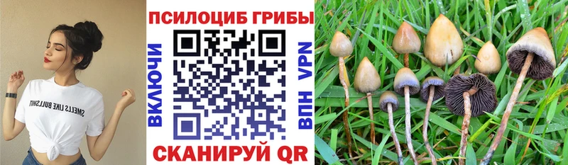 Галлюциногенные грибы мухоморы  Сунжа 