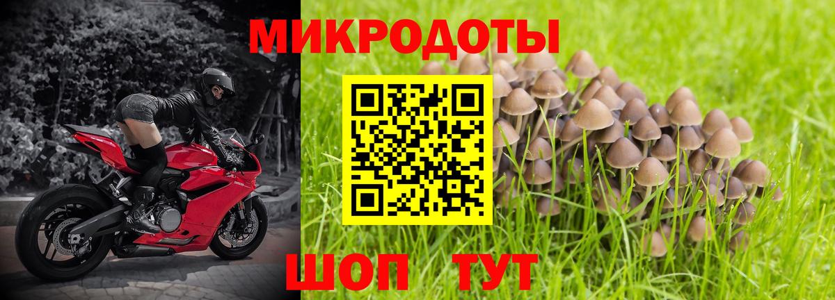 Псилоцибиновые грибы мицелий Сунжа