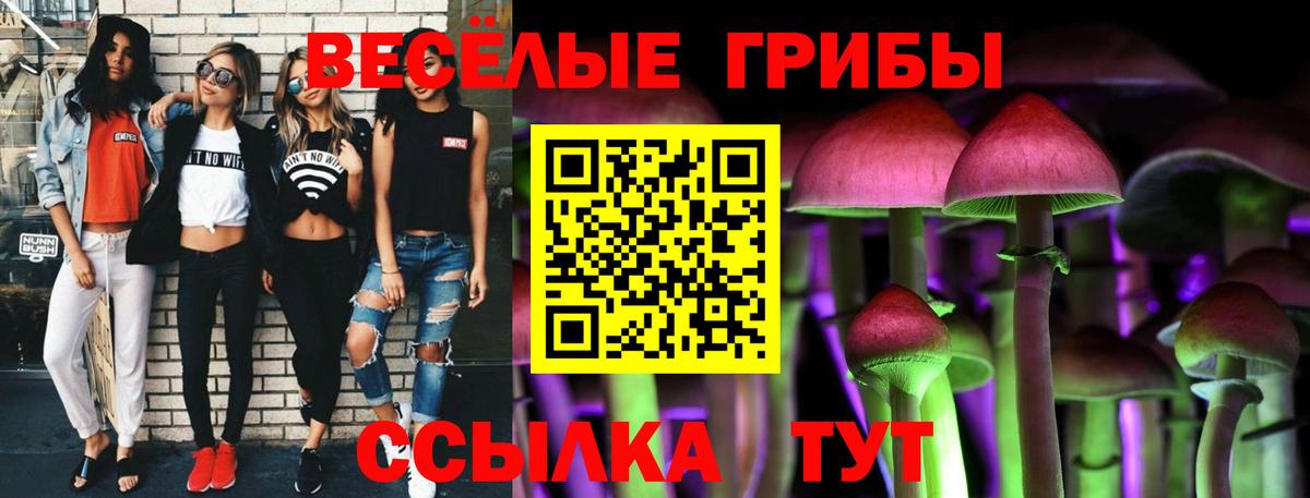 Галлюциногенные грибы Cubensis Сунжа