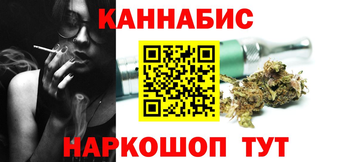 Канабис SATIVA & INDICA Сунжа